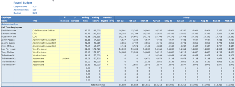 screenshot of personnel planning template in solver