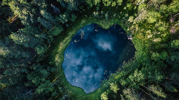 Top-down aerial view of a small pond in the middle of a forest, reflecting clouds in the sky