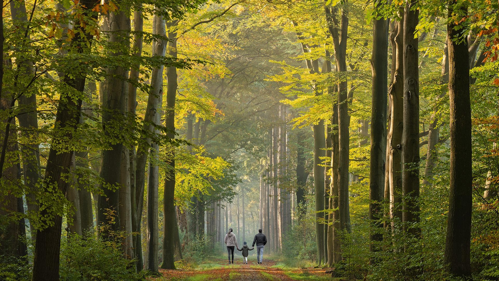 A family walking down a lush forest path at dusk.