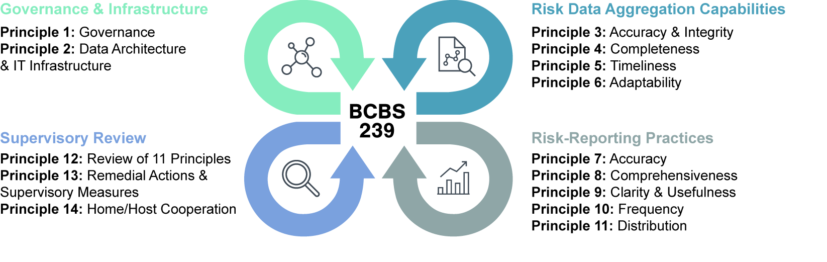 Graphic showing 14 different principles under topics such as "Governance & Infrastructure," "Risk Data Aggregation Capabilities," etc.