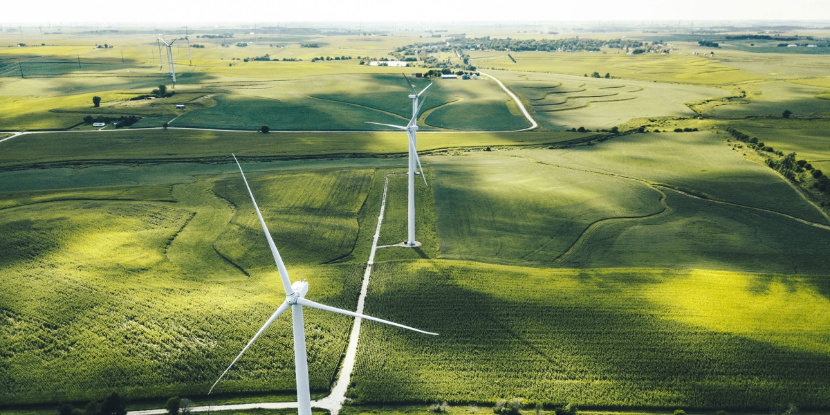 Windmills on green open farmlands