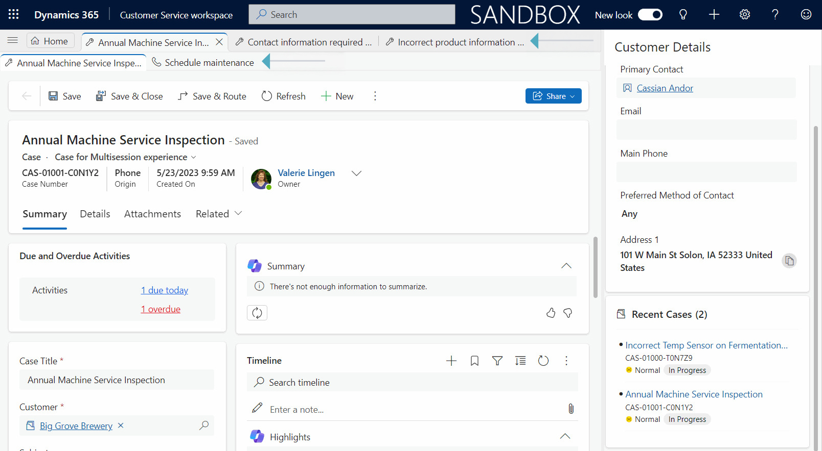 Screenshot of Customer Service workspace sessions and tabs.